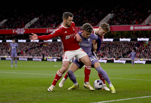 杯的推出 杯的推出